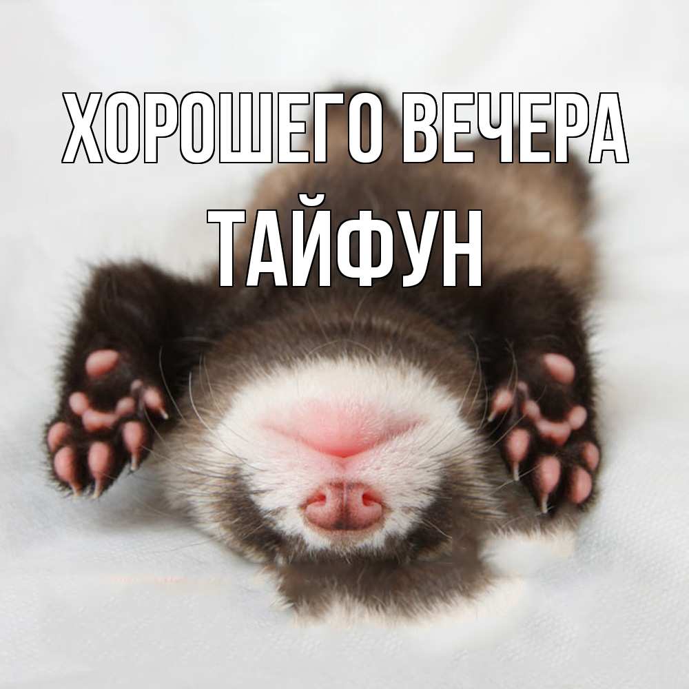 Открытка  для любимых и родных. тайфун, Хорошего вечера  