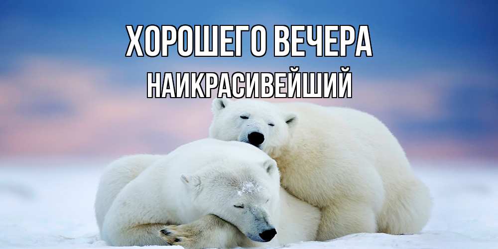 Открытка  для любимых и родных. наикрасивейший, Хорошего вечера  