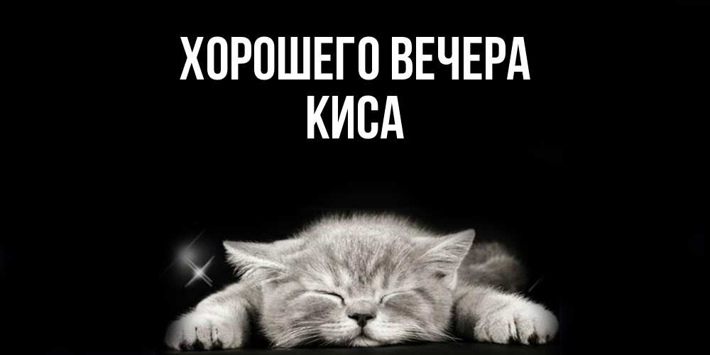 Открытка  для любимых и родных. киса, Хорошего вечера  