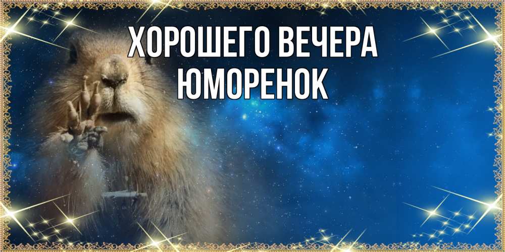 Открытка  для любимых и родных. юмоpенок, Хорошего вечера  