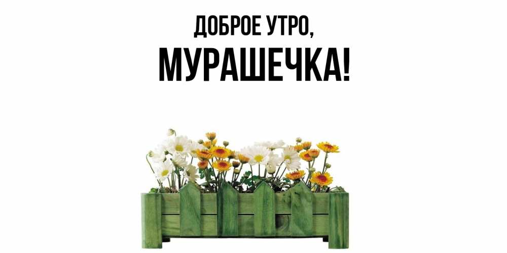 Открытка  для любимых и родных. мурашечка, Доброе утро  