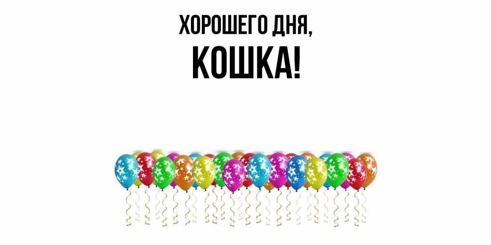 Открытка  для любимых и родных. кошка, Хорошего дня  