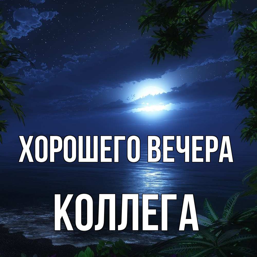 Картинка Хорошего вечера, Коллега