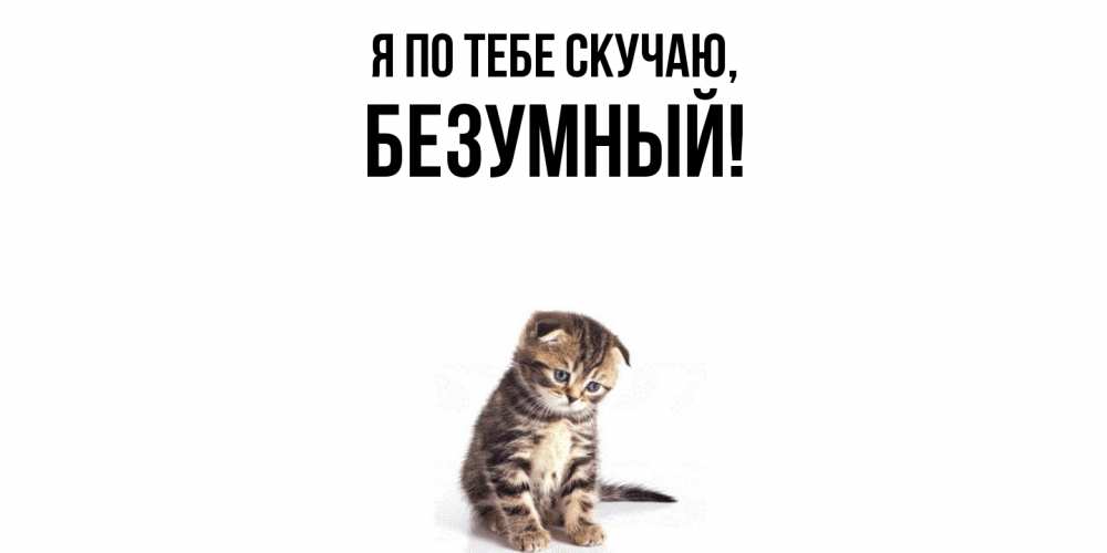 Картинка Я по тебе скучаю, безумный