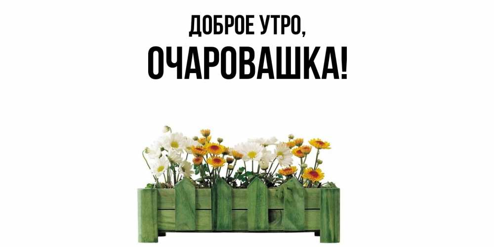 Открытка  для любимых и родных. очаровашка, Доброе утро  