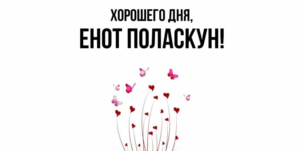 Открытка  для любимых и родных. енот, Хорошего дня  