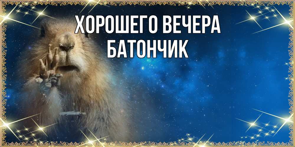 Открытка  для любимых и родных. батончик, Хорошего вечера  