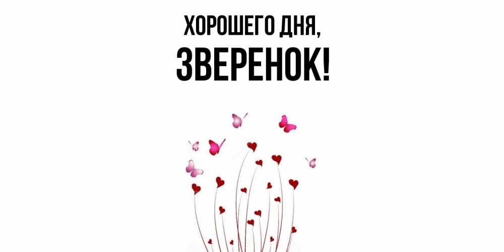 Открытка  для любимых и родных. зверенок, Хорошего дня  