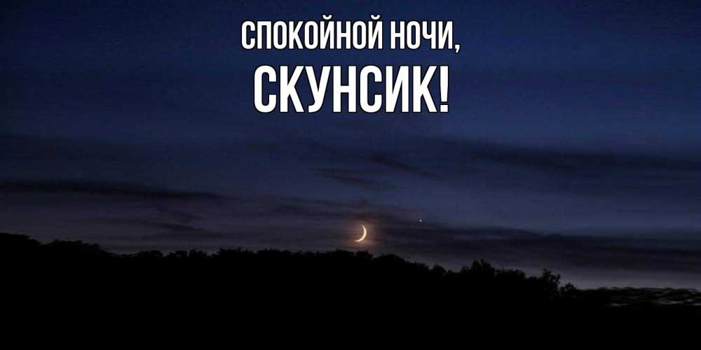 Открытка  для любимых и родных. скунсик, Спокойной ночи  