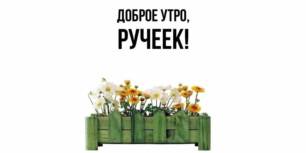 Открытка  для любимых и родных. ручеек, Доброе утро  