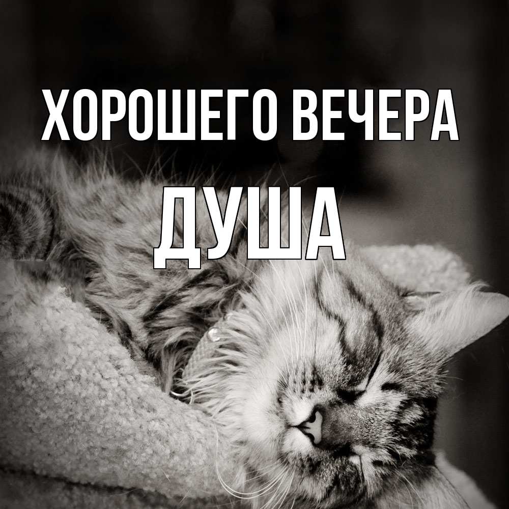 Картинка Хорошего вечера, душа