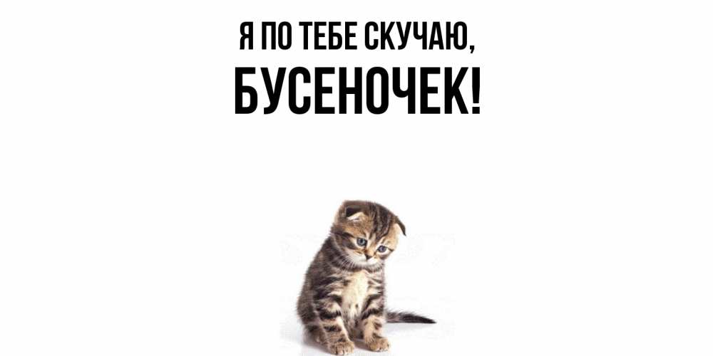 Картинка Я по тебе скучаю, бусеночек