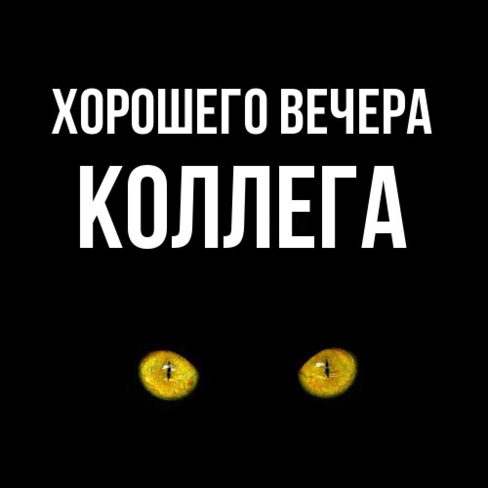 Картинка Хорошего вечера, Коллега