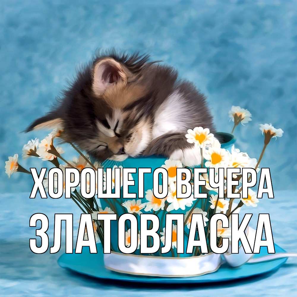 Картинка Хорошего вечера, златовласка