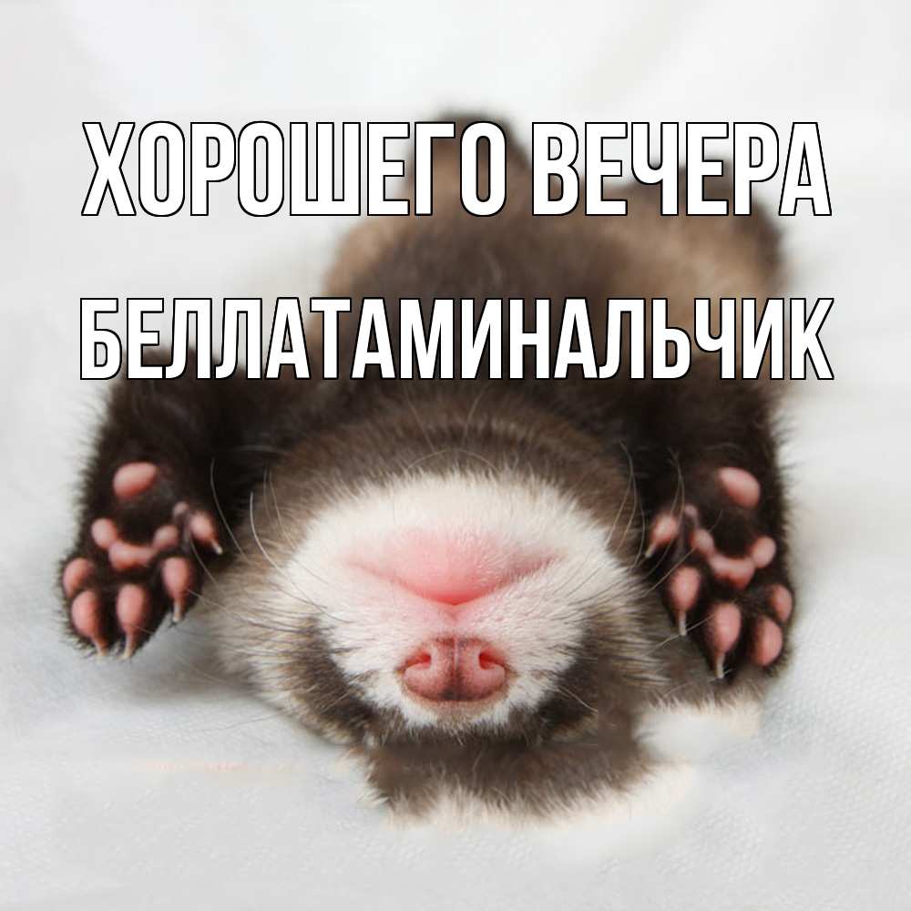 Открытка  для любимых и родных. беллатаминальчик, Хорошего вечера  