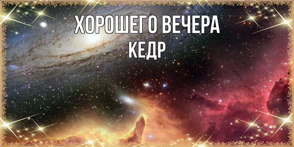 Открытка  для любимых и родных. кедр, Хорошего вечера  