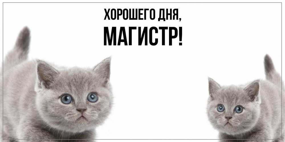 Открытка  для любимых и родных. магистр, Хорошего дня  