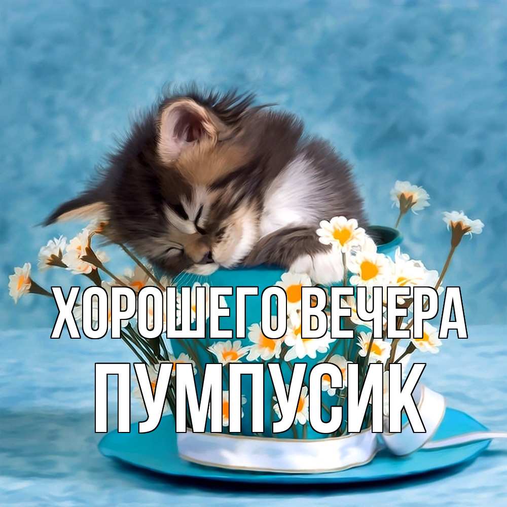 Картинка Хорошего вечера, пумпусик