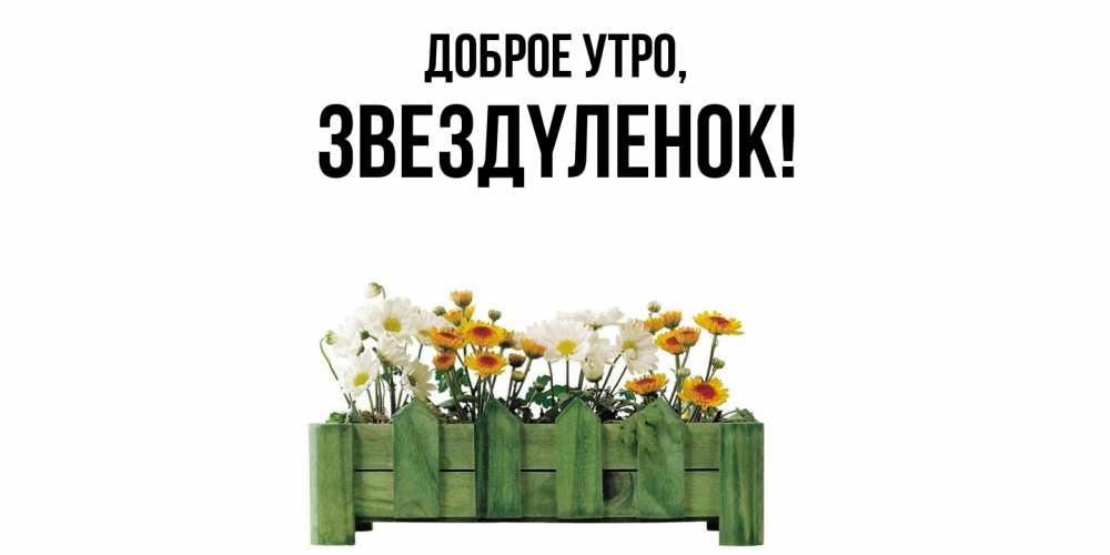 Открытка  для любимых и родных. звездyленок, Доброе утро  