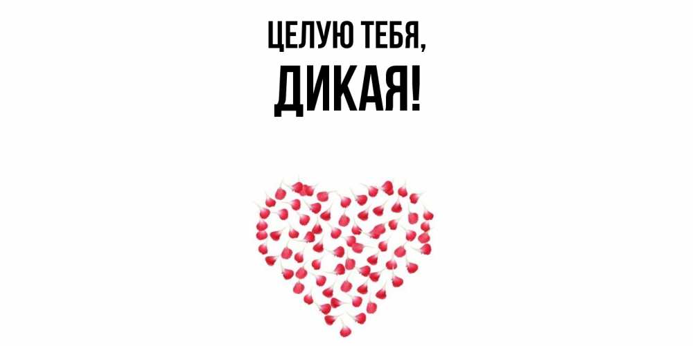 Открытка  для любимых и родных. дикая, Целую тебя  